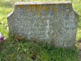image of grave number 54651